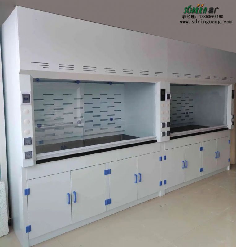 山東實(shí)驗(yàn)室設(shè)備pp實(shí)驗(yàn)室通風(fēng)柜實(shí)驗(yàn)臺(tái)廠家
