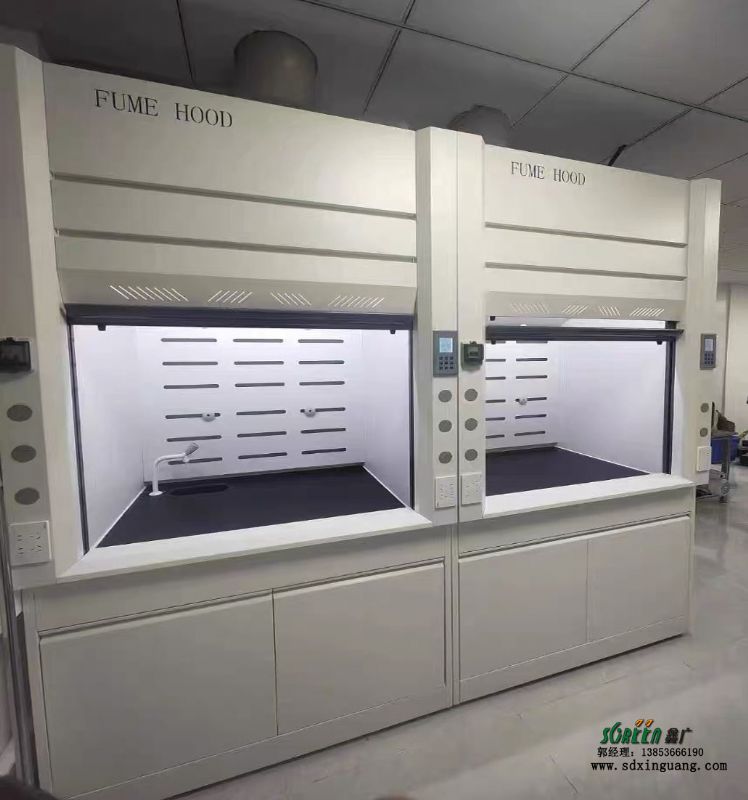山東實(shí)驗(yàn)室通風(fēng)柜廠家實(shí)驗(yàn)臺(tái)廠家供應(yīng)