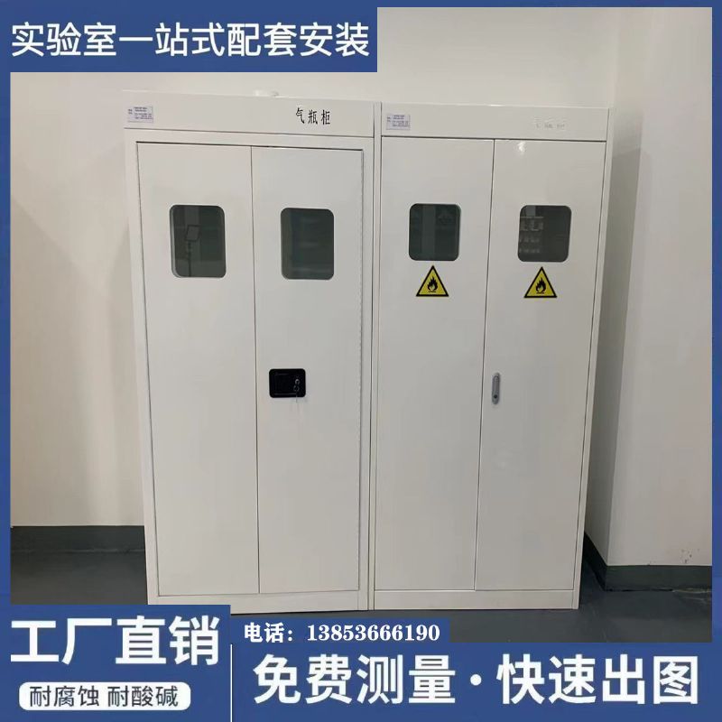山東實(shí)驗(yàn)室家具 實(shí)驗(yàn)臺(tái) 定制鋼制氣瓶柜廠家