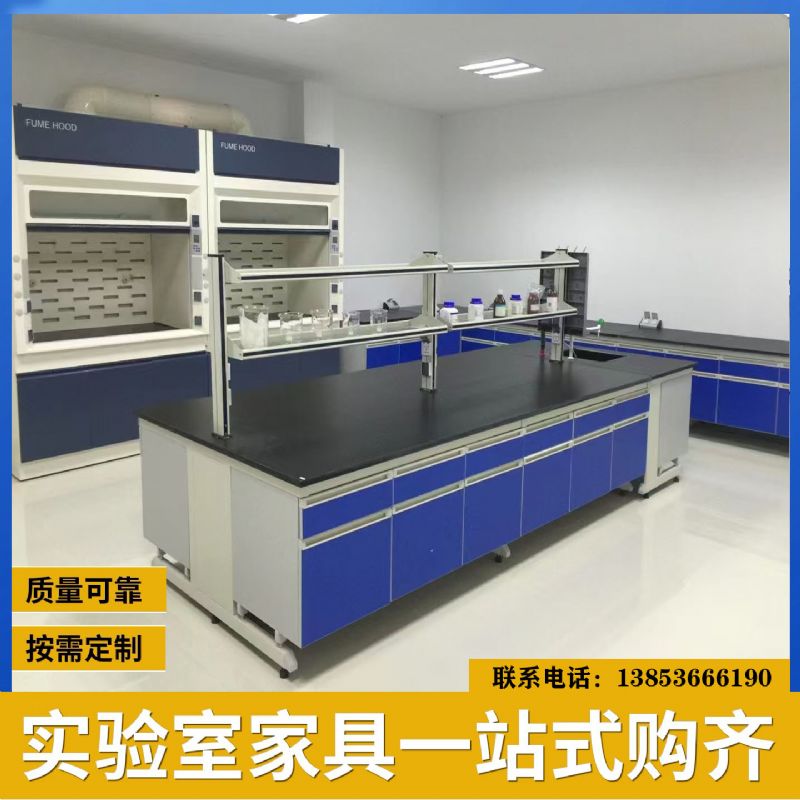 山東鋼木化驗臺廠家 實驗室通風柜 耐酸堿 按需定制